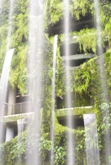 植物園2018
