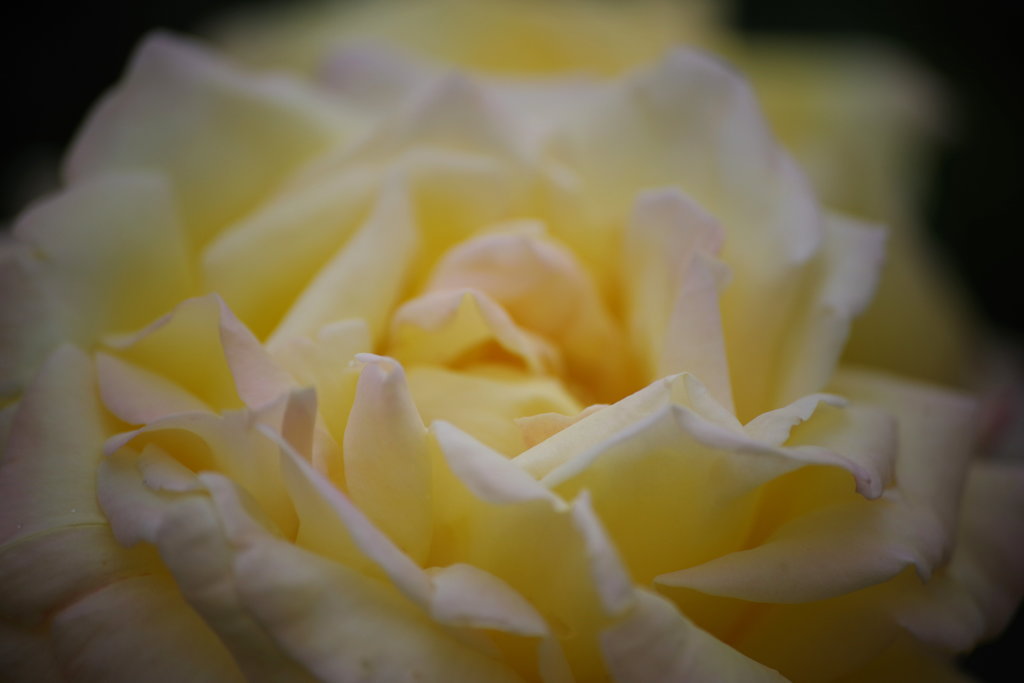 IMGP3579