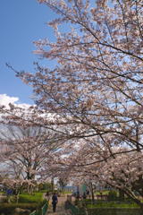 IMGP3110