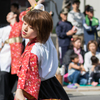 よさこい