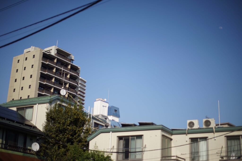 CONTAX Carl Zeiss Planar T * 50㎜ f 1.4 