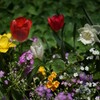 PENTAX -M 50mm F1.4