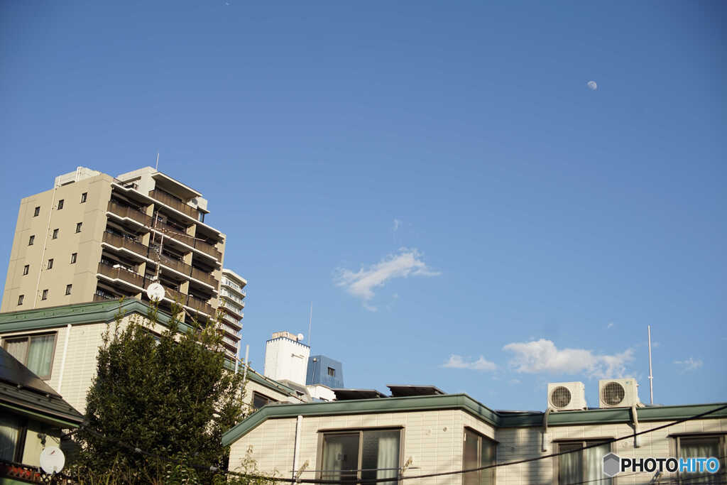 CANON 50MM 単焦点　撮りくらべ　