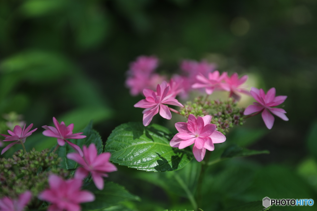 木漏れ日の中で