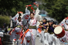 長浜浅井あっぱれ祭り⑤