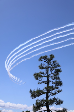 ブルーインパルスin彦根