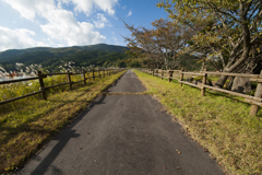 旅路