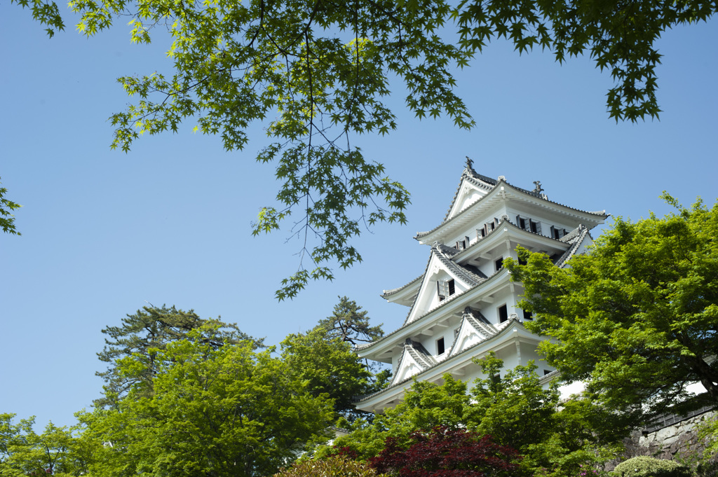 新緑の八幡城