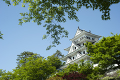 新緑の八幡城
