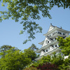 新緑の八幡城