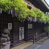 藤の花咲く三之町