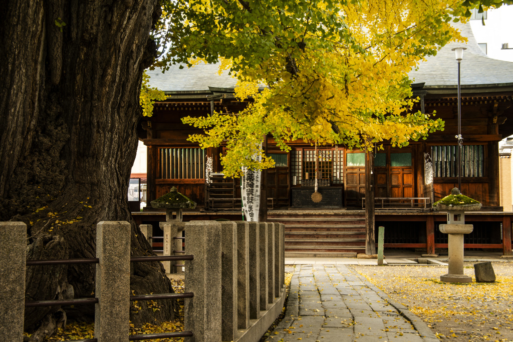 国分寺