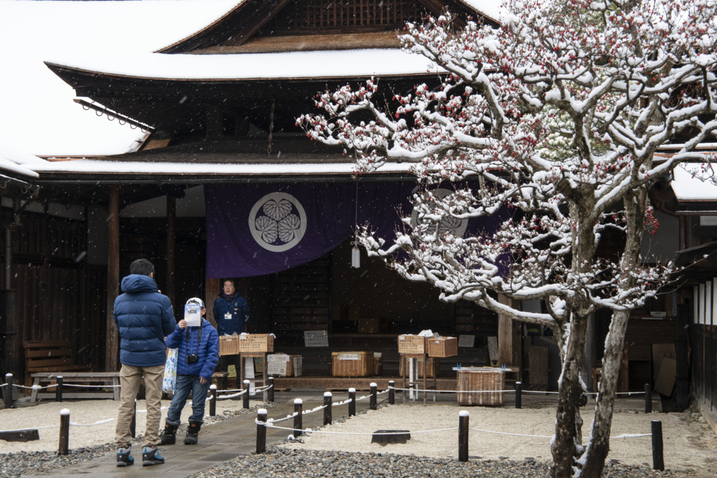 雪の朝