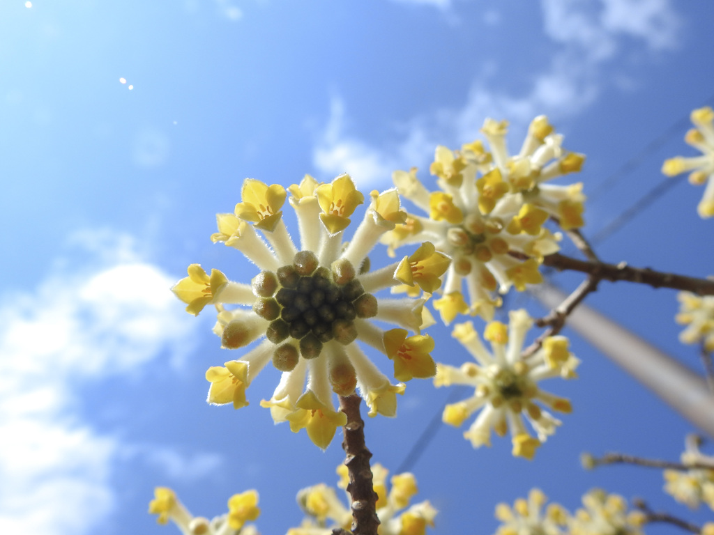 青空に背を向けて