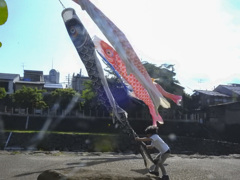 捕獲成功