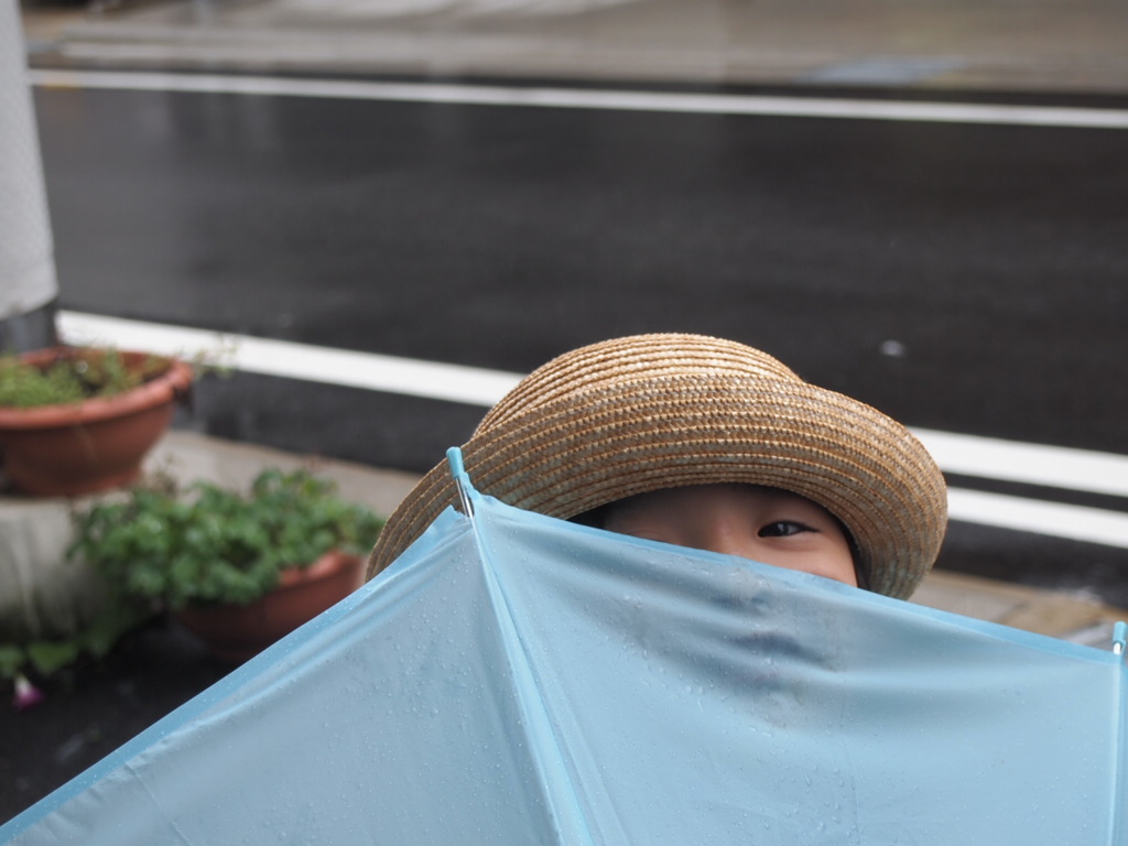 雨かな