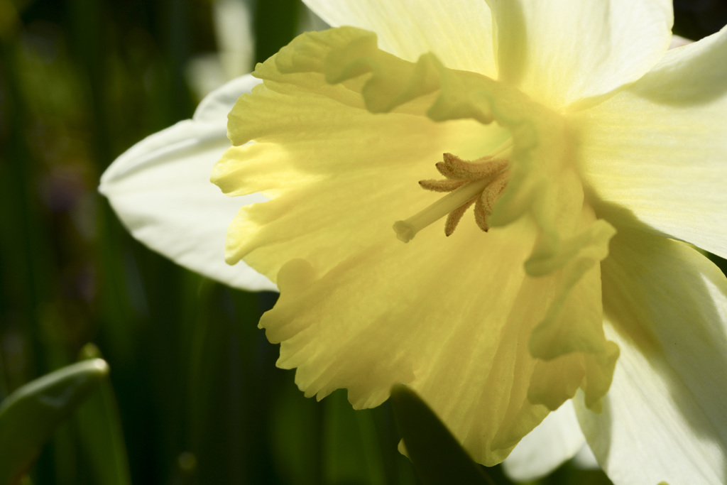 初めてのマクロ