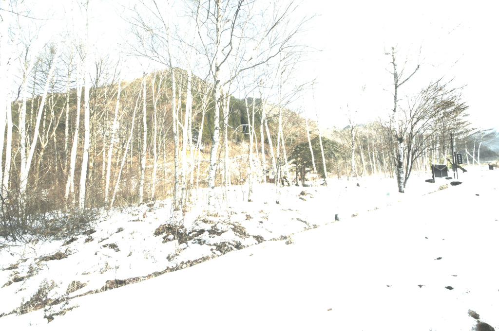 雪景色