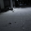 深夜俳諧