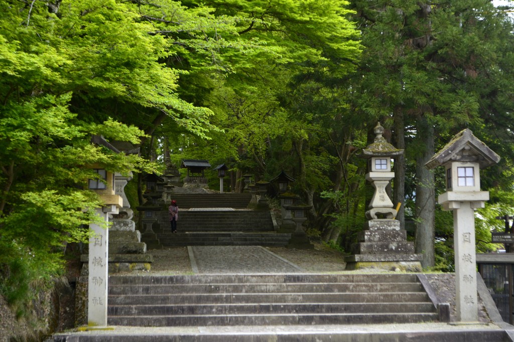 2015－05－04日枝神社参道 