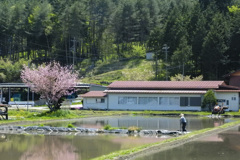 田植え準備中