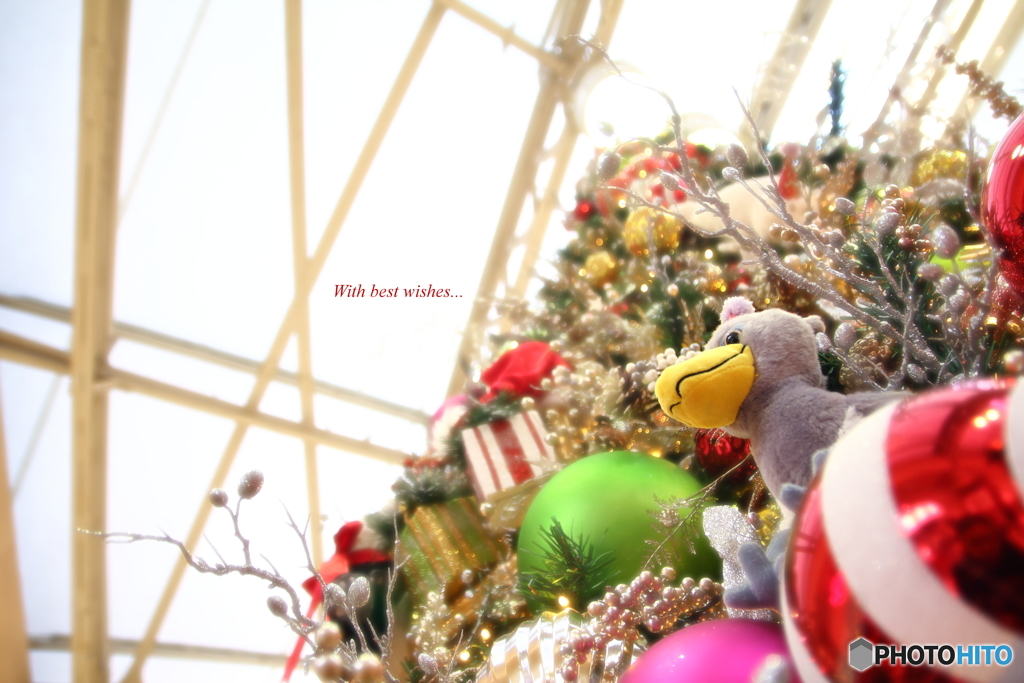 With best wishes