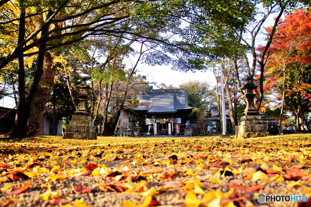 Yellow carpet
