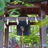 近づく夏