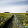 Mustard road