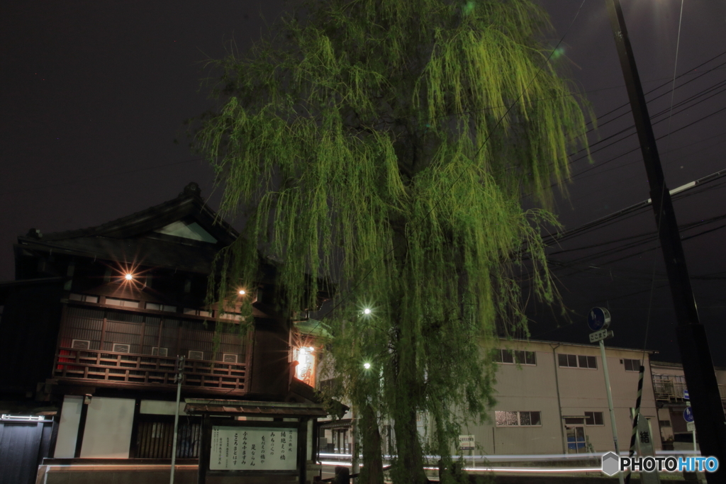 醸室の大柳