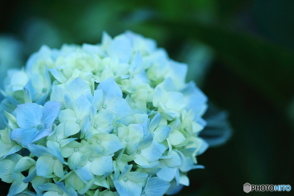 Rainy blue