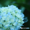 Rainy blue
