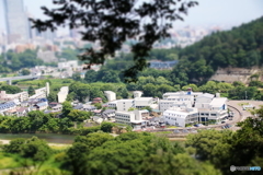 仙台城下