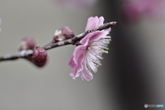 物憂げな君の横顔