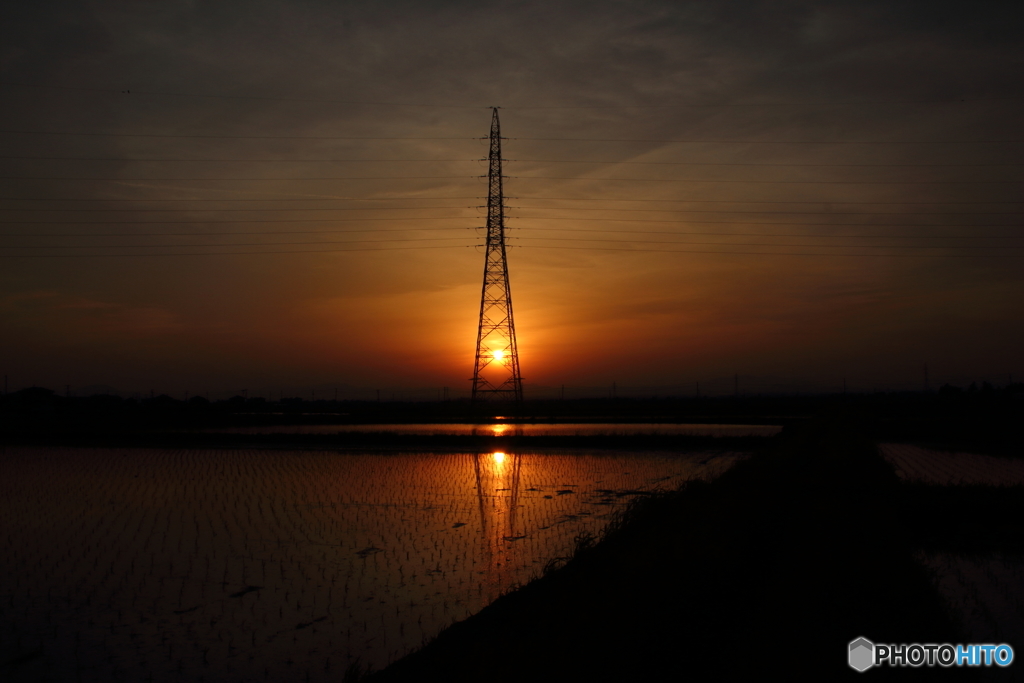 太陽の塔