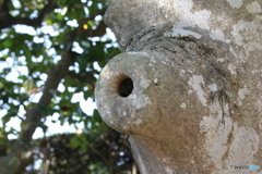 「ほっ」