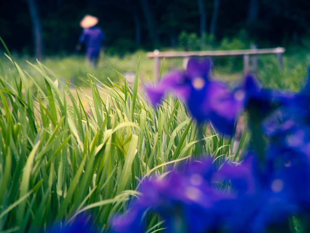 「Plow・・・」