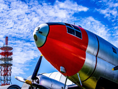風薫る 航空公園8