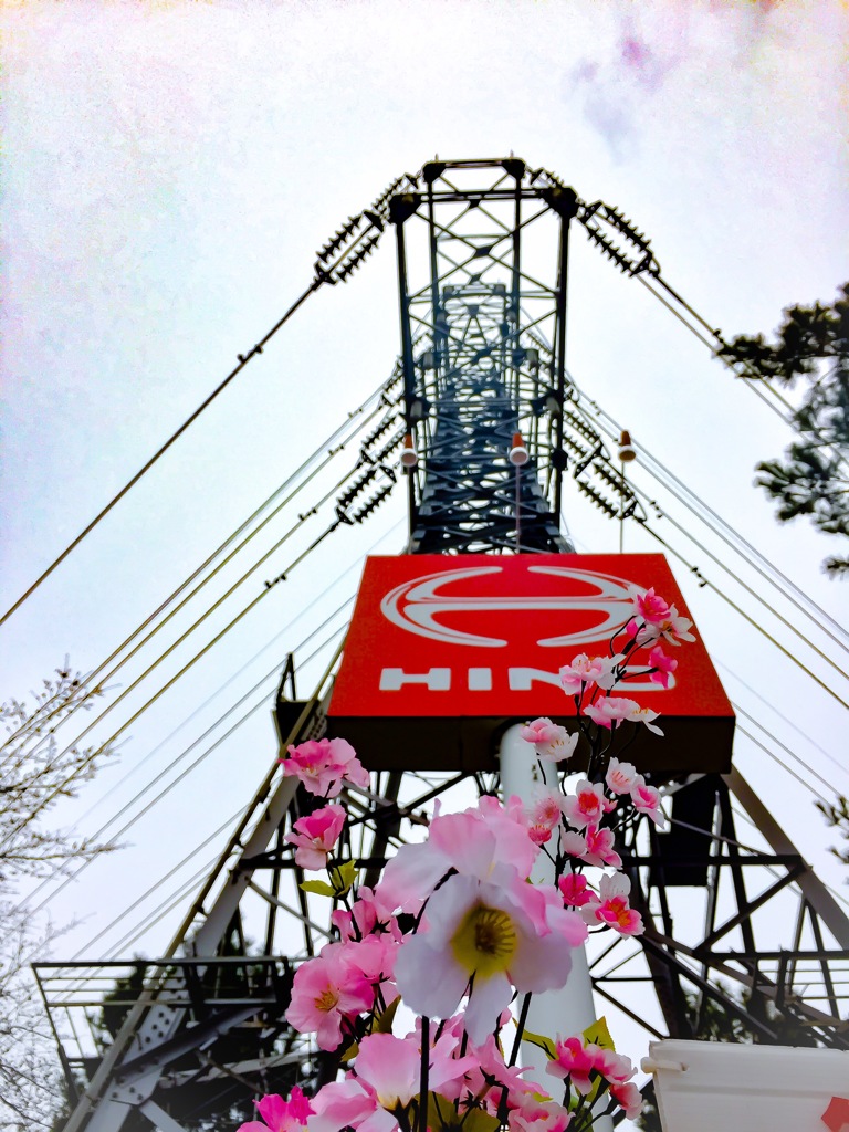 ヒノ桜〜❁