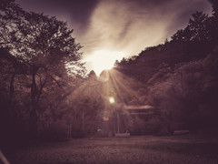 「春陽の吉野山園地 ～」