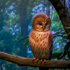 Night owl…☾ 