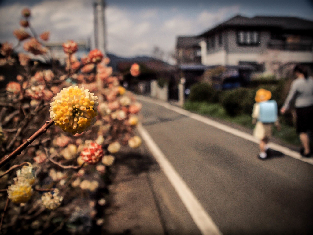 小春日の通い路・・・