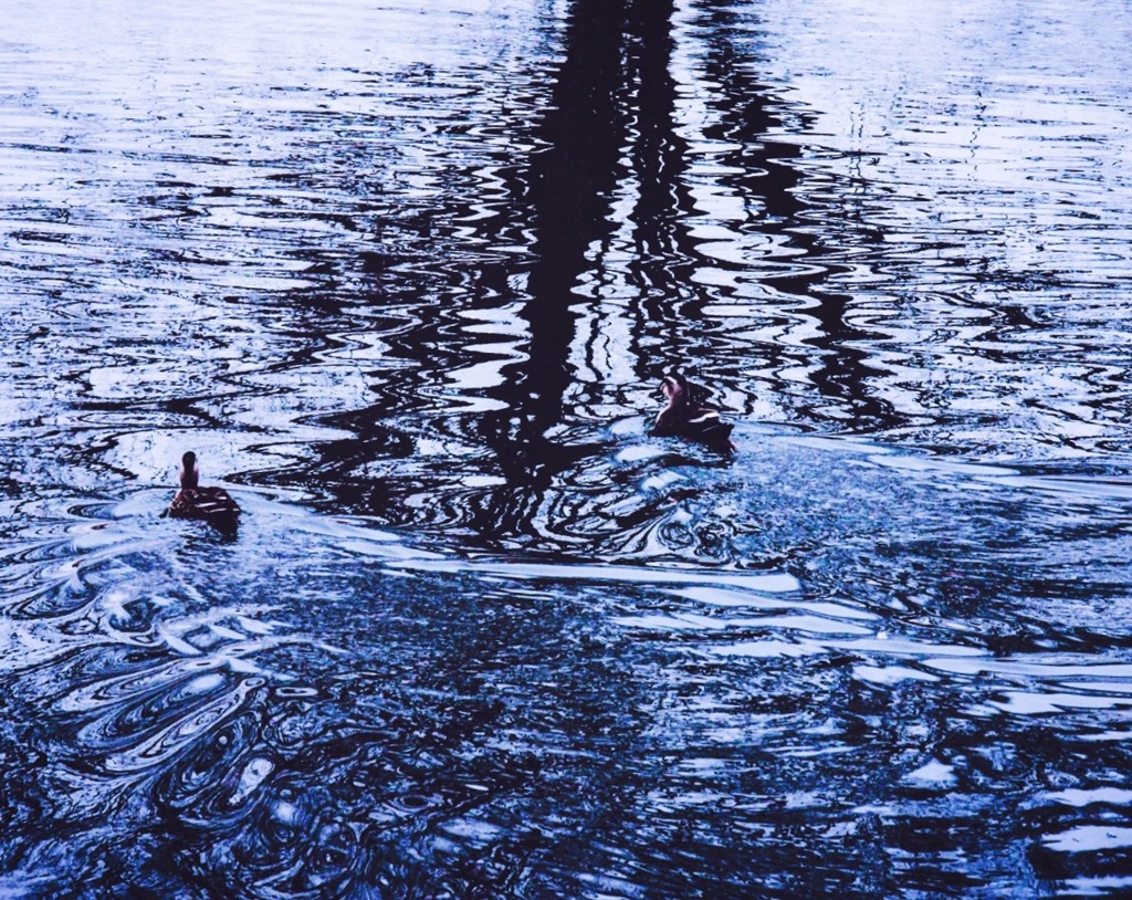 水望〜