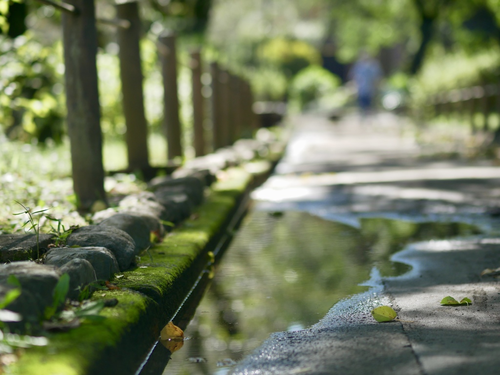 雑踏の水溜まり……