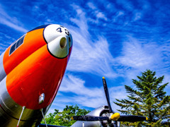 風薫る 航空公園7