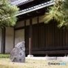 皇居の春 - no.6