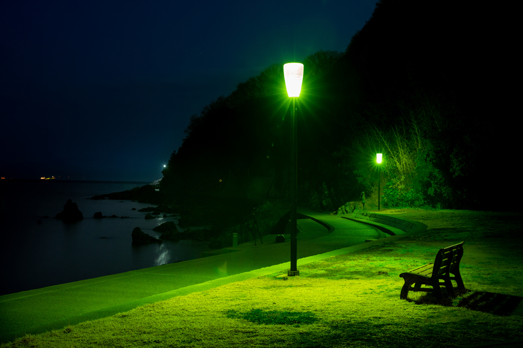 緑は安らぎの色