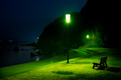 緑は安らぎの色