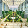 奇跡の星植物館