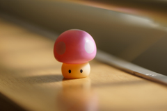 仕事場の近くにて7